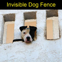 invisible_dog_fence