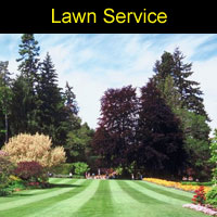 lawn_service
